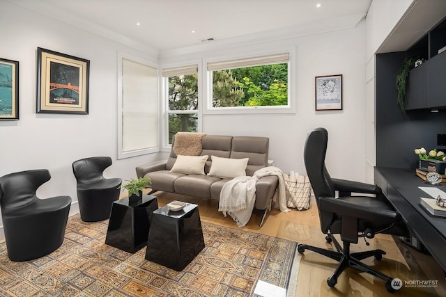 office space with ornamental molding and wood-type flooring