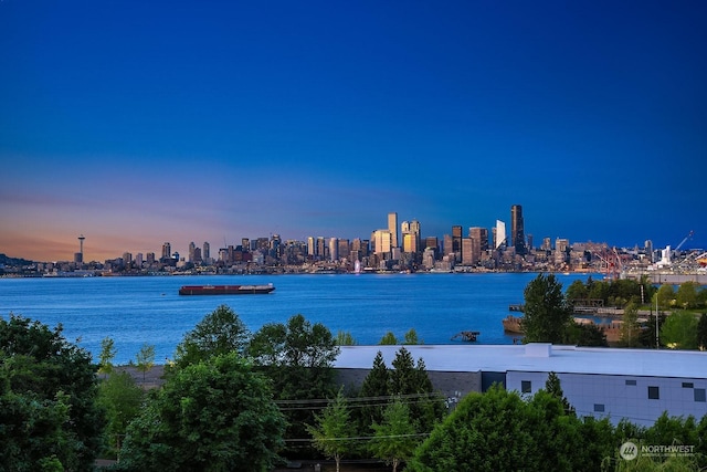 2349 Harbor Ave SW Unit Ph405, Seattle, WA 98126 - photo 2