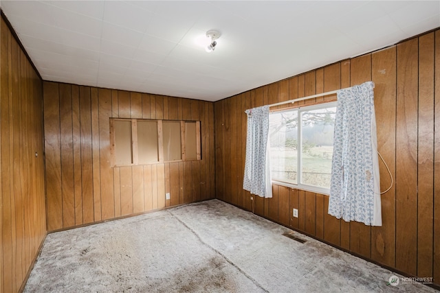 spare room featuring wood walls and carpet