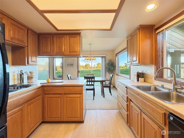 kitchen with sink, an inviting chandelier, hanging light fixtures, light hardwood / wood-style flooring, and black appliances