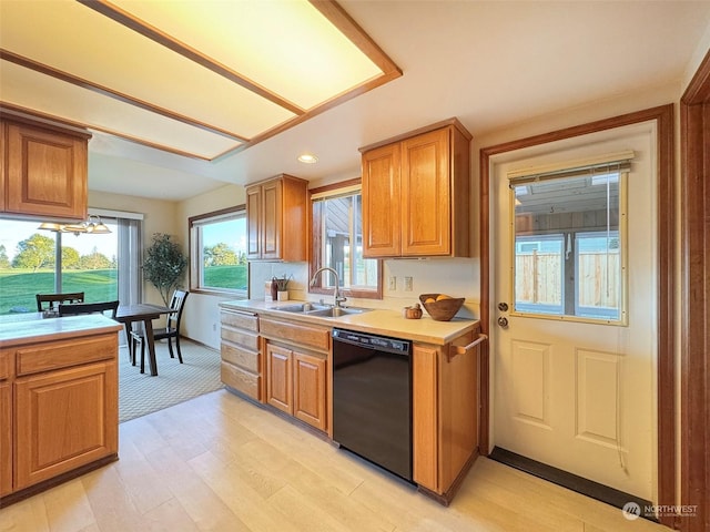 kitchen with light hardwood / wood-style floors, black dishwasher, and sink