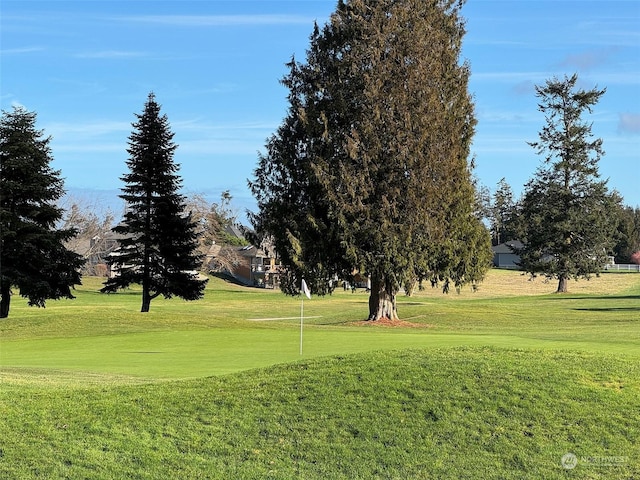 view of community with a lawn