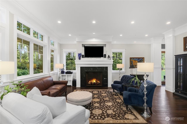 living room featuring ornamental molding, dark hardwood / wood-style floors, a wealth of natural light, and a fireplace