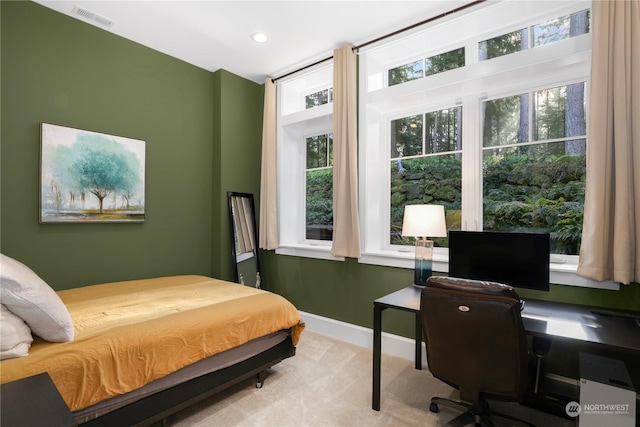 carpeted bedroom with multiple windows