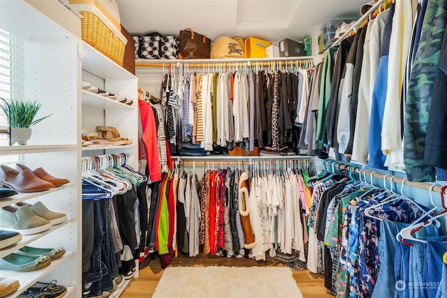 walk in closet featuring wood-type flooring