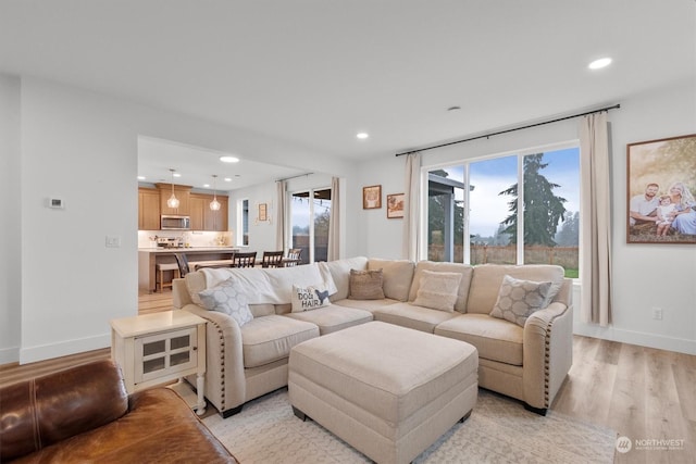 living room with light wood-type flooring