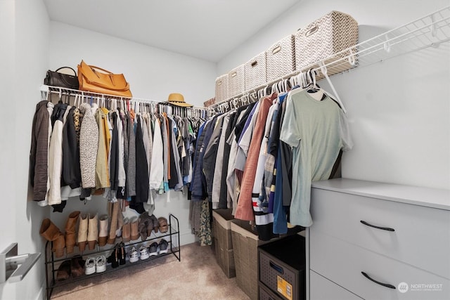 walk in closet featuring light colored carpet