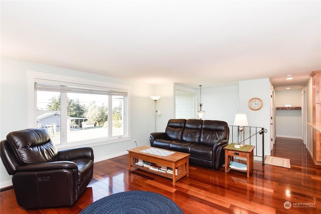 living room with dark hardwood / wood-style floors