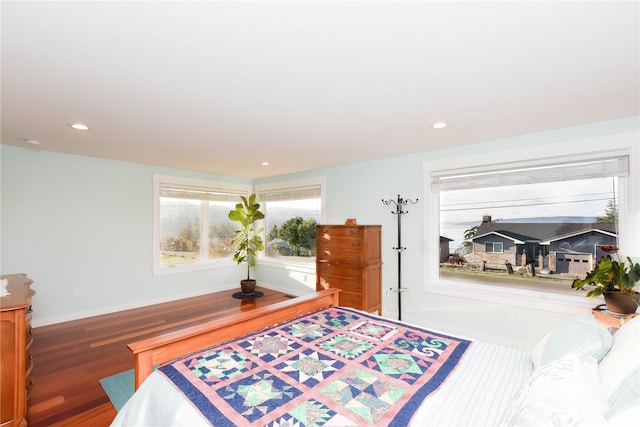 bedroom with dark hardwood / wood-style floors