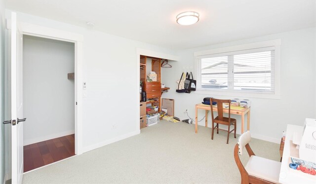 miscellaneous room featuring carpet flooring