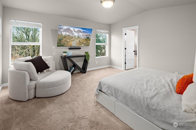 bedroom featuring carpet floors and lofted ceiling