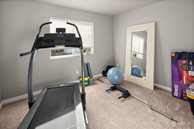 workout area featuring carpet floors