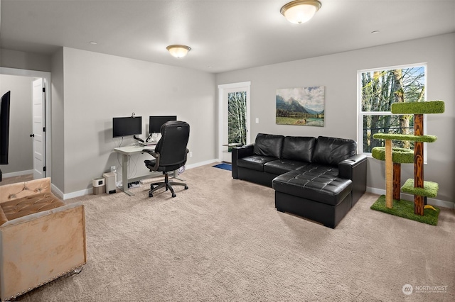 home office featuring a wealth of natural light and carpet flooring