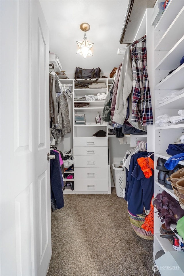 walk in closet featuring carpet floors