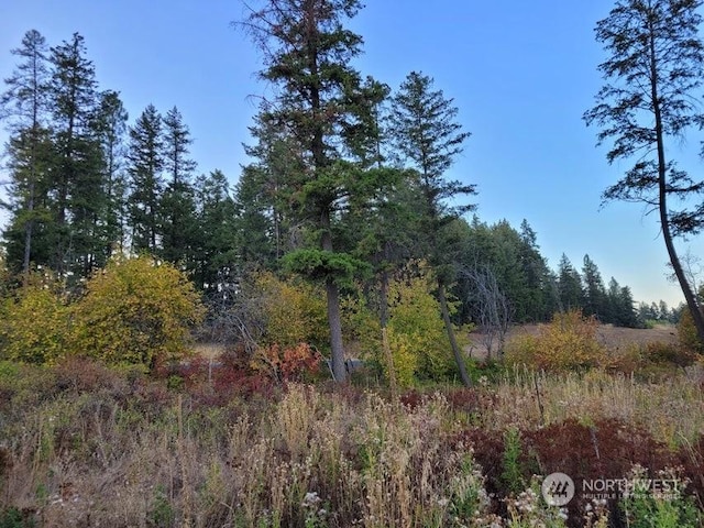 Listing photo 3 for 0 Philpott Rd, Colville WA 99114