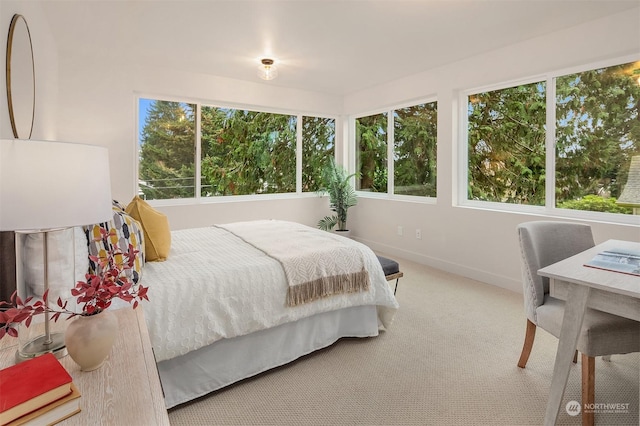 view of carpeted bedroom