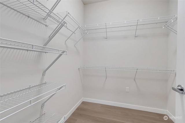 spacious closet featuring hardwood / wood-style floors