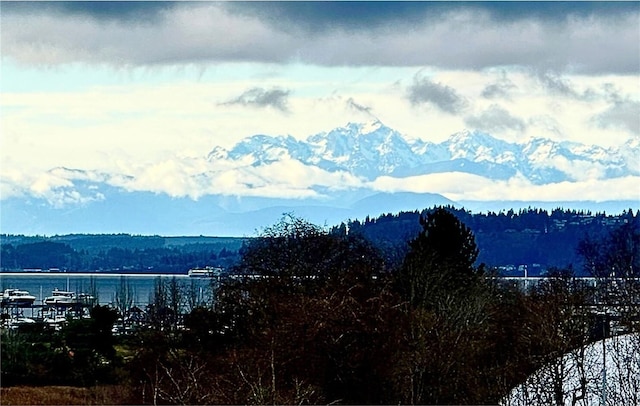 property view of mountains