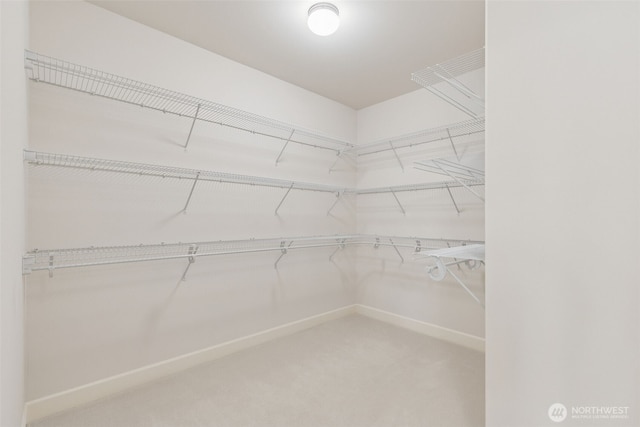 spacious closet with carpet flooring