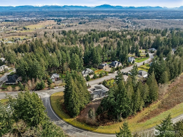 aerial view with a forest view and a mountain view