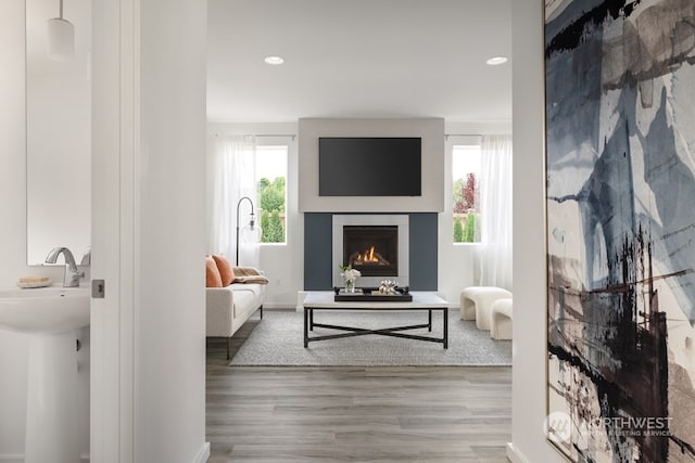 living room with a healthy amount of sunlight, sink, and hardwood / wood-style floors