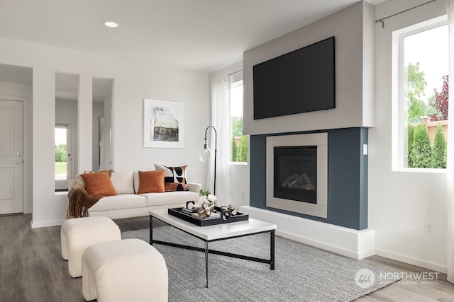 living room featuring hardwood / wood-style floors and a wealth of natural light