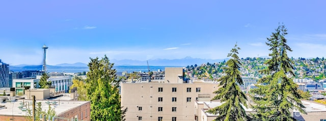 city view featuring a mountain view