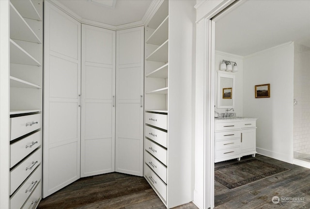 walk in closet with dark hardwood / wood-style floors and sink