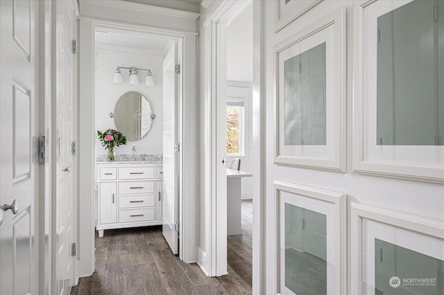 bathroom featuring vanity, ornamental molding, and hardwood / wood-style floors