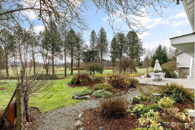 view of yard with a patio area