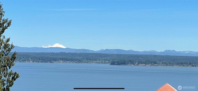 71 Saratoga Dr, Hat Island, WA 98206 - photo 8