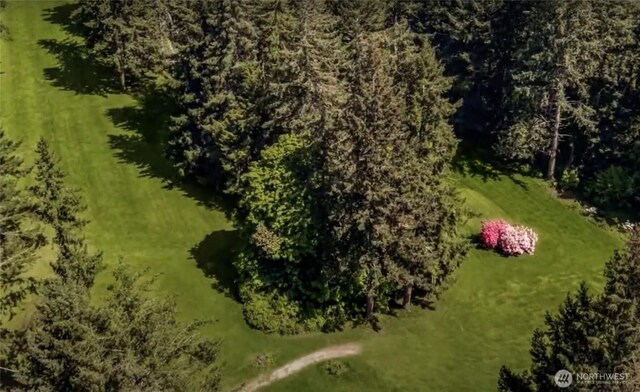 71 Saratoga Dr, Hat Island, WA 98206 - photo 4