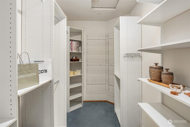 walk in closet with carpet floors