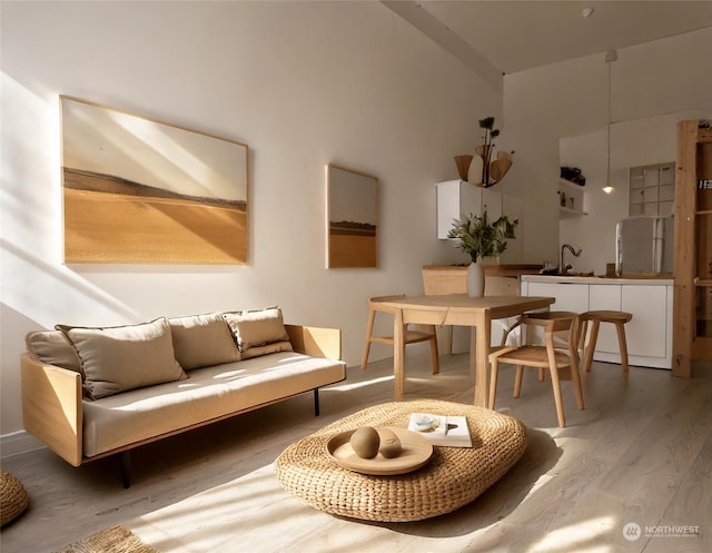 living room with sink and hardwood / wood-style flooring