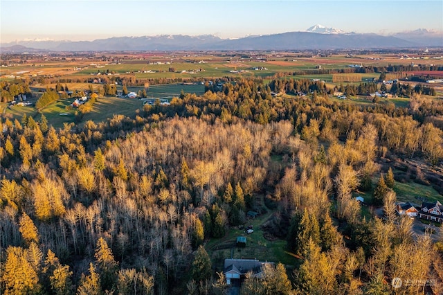 9532 Weidkamp Rd, Lynden WA, 98264 land for sale