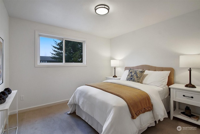 view of carpeted bedroom