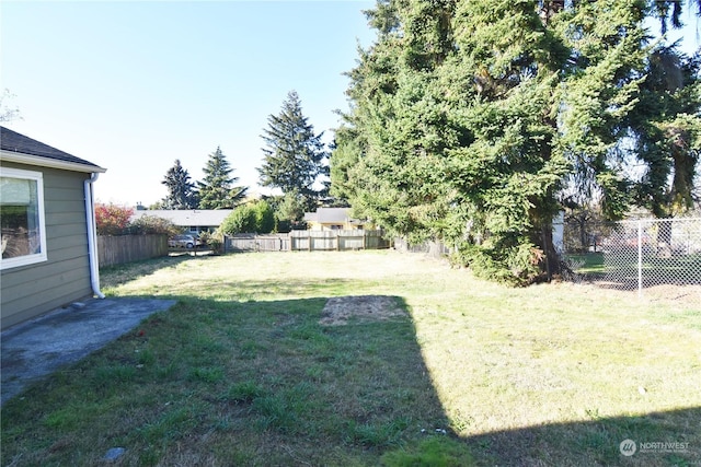 17333 33rd Ave S, Seatac, WA 98188 - view of yard