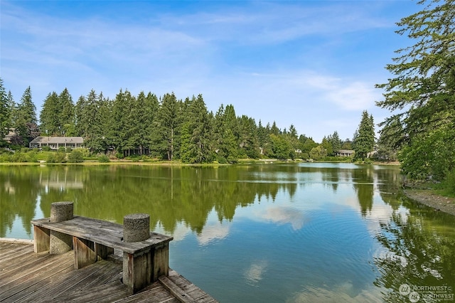 dock area featuring a water view