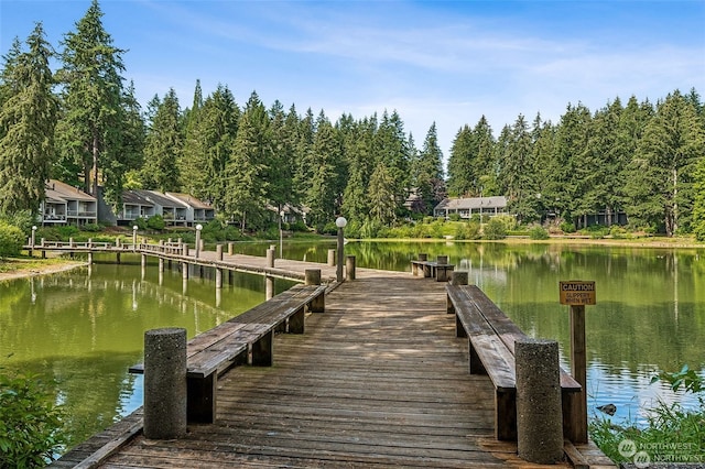 dock area featuring a water view