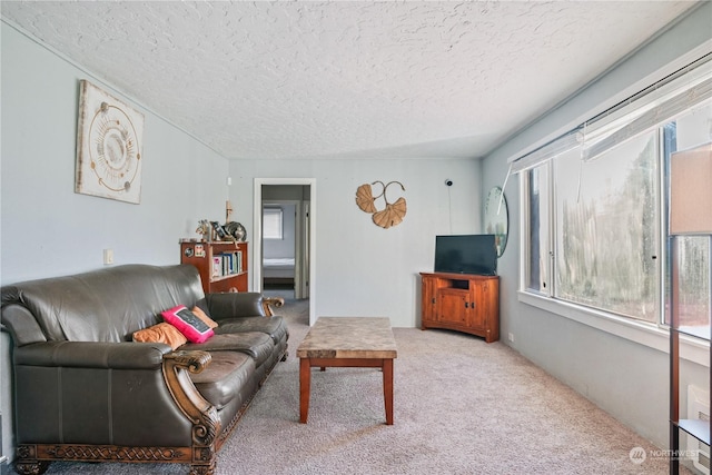 living room featuring light carpet and a textured ceiling