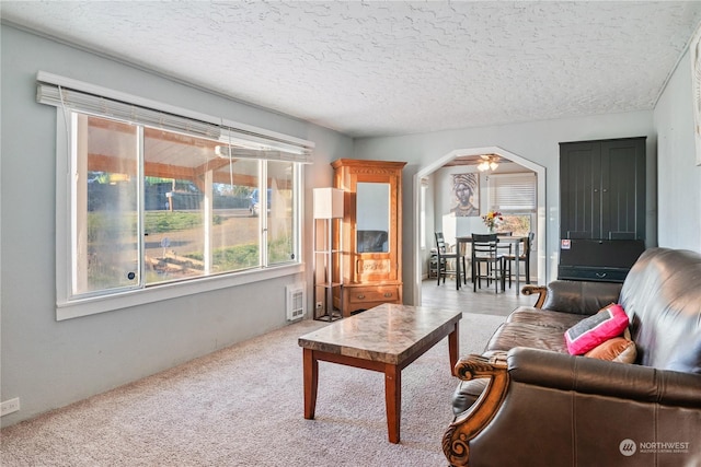 living room with carpet flooring and a textured ceiling