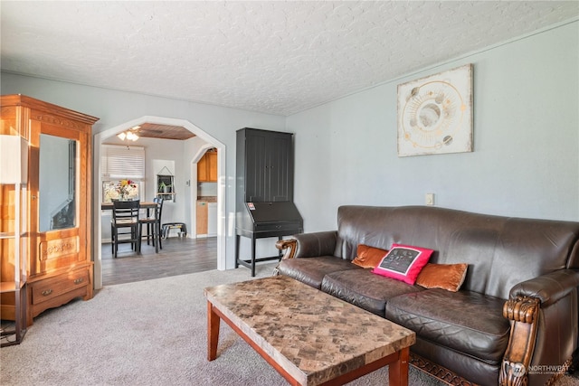 living room featuring carpet floors and a textured ceiling