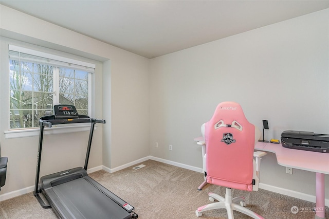 workout area with carpet