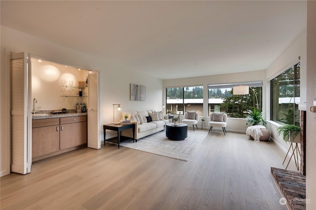 living room with light wood-type flooring and sink