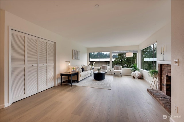 living room featuring a fireplace and light hardwood / wood-style flooring