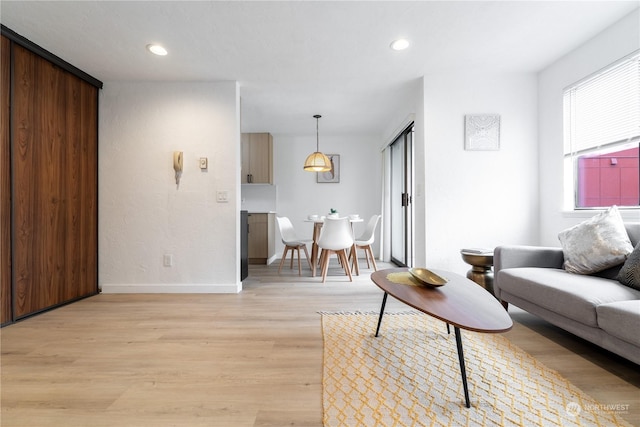 living room featuring light hardwood / wood-style floors