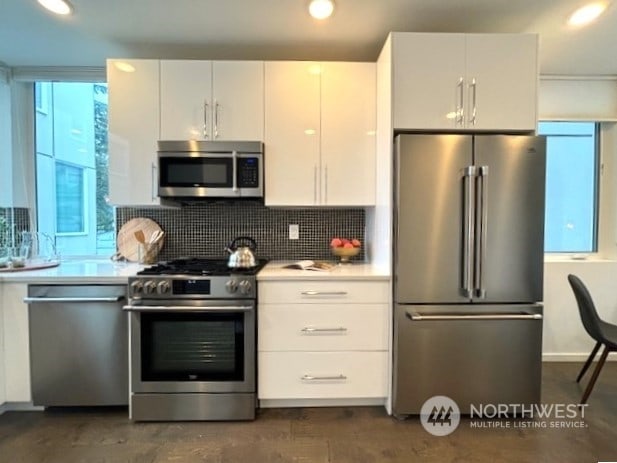 kitchen with white cabinets, tasteful backsplash, a wealth of natural light, and appliances with stainless steel finishes