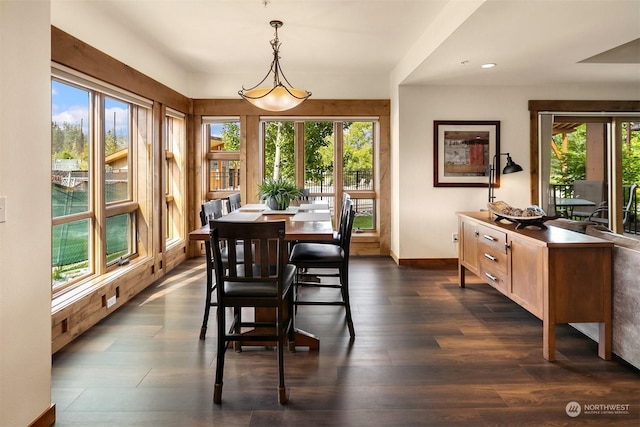 dining room with dark hardwood / wood-style floors and a wealth of natural light