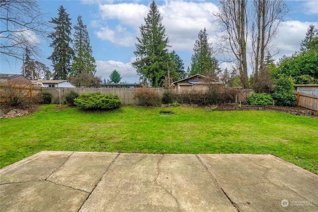 view of yard with a patio area