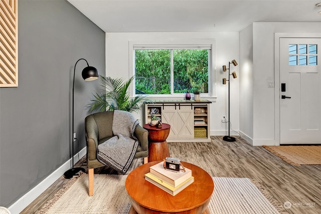 sitting room featuring hardwood / wood-style floors